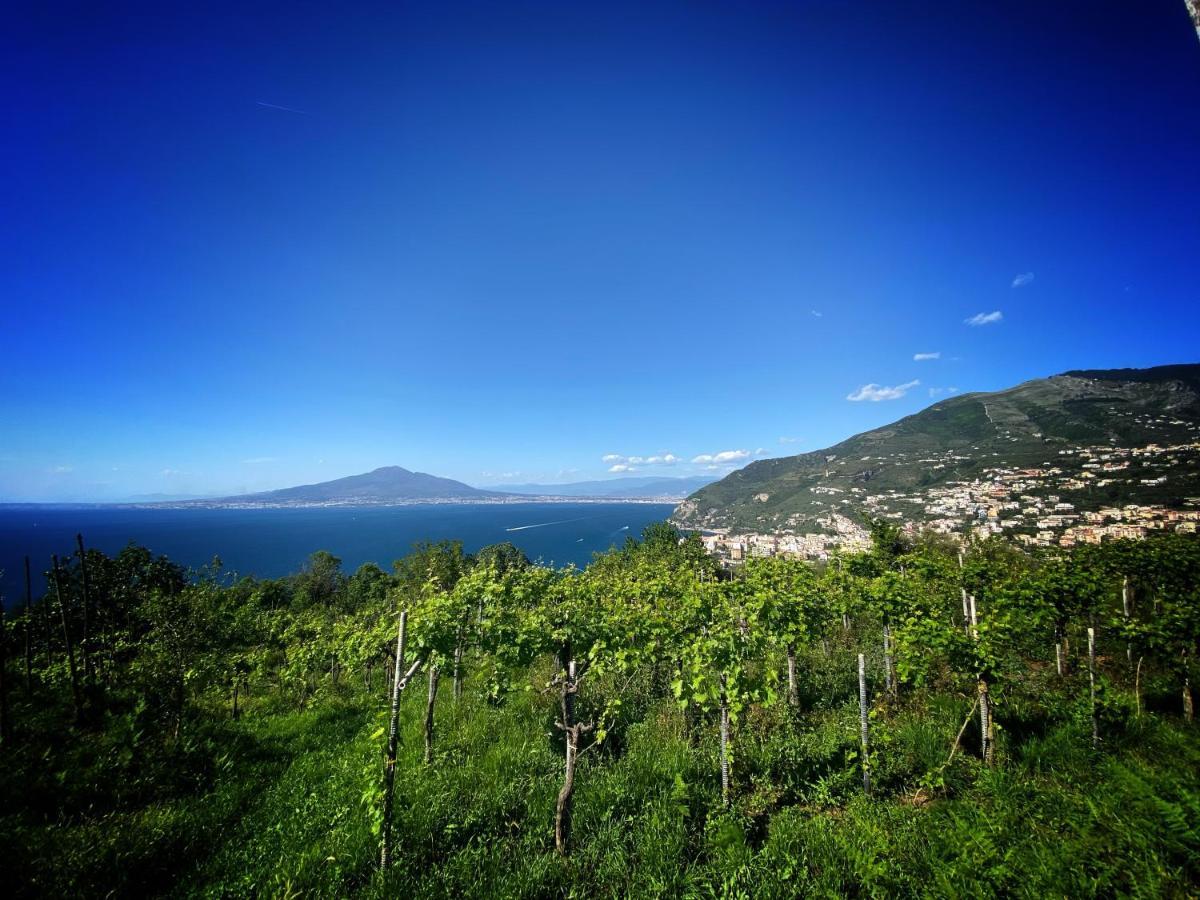 La Badia Montechiaro - Breathtaking View Of Sorrento Coast Villa Vico Equense Buitenkant foto