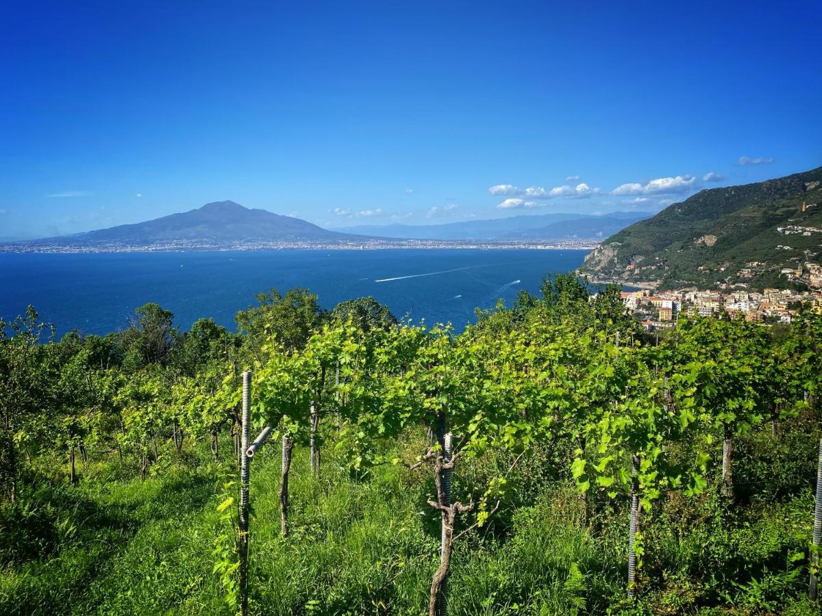 La Badia Montechiaro - Breathtaking View Of Sorrento Coast Villa Vico Equense Buitenkant foto