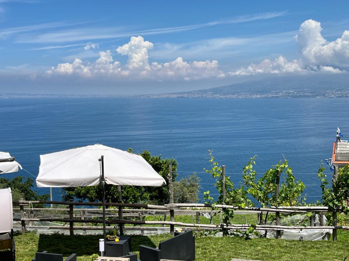 La Badia Montechiaro - Breathtaking View Of Sorrento Coast Villa Vico Equense Buitenkant foto