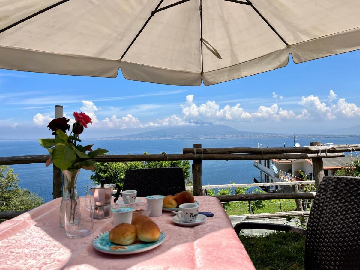 La Badia Montechiaro - Breathtaking View Of Sorrento Coast Villa Vico Equense Buitenkant foto