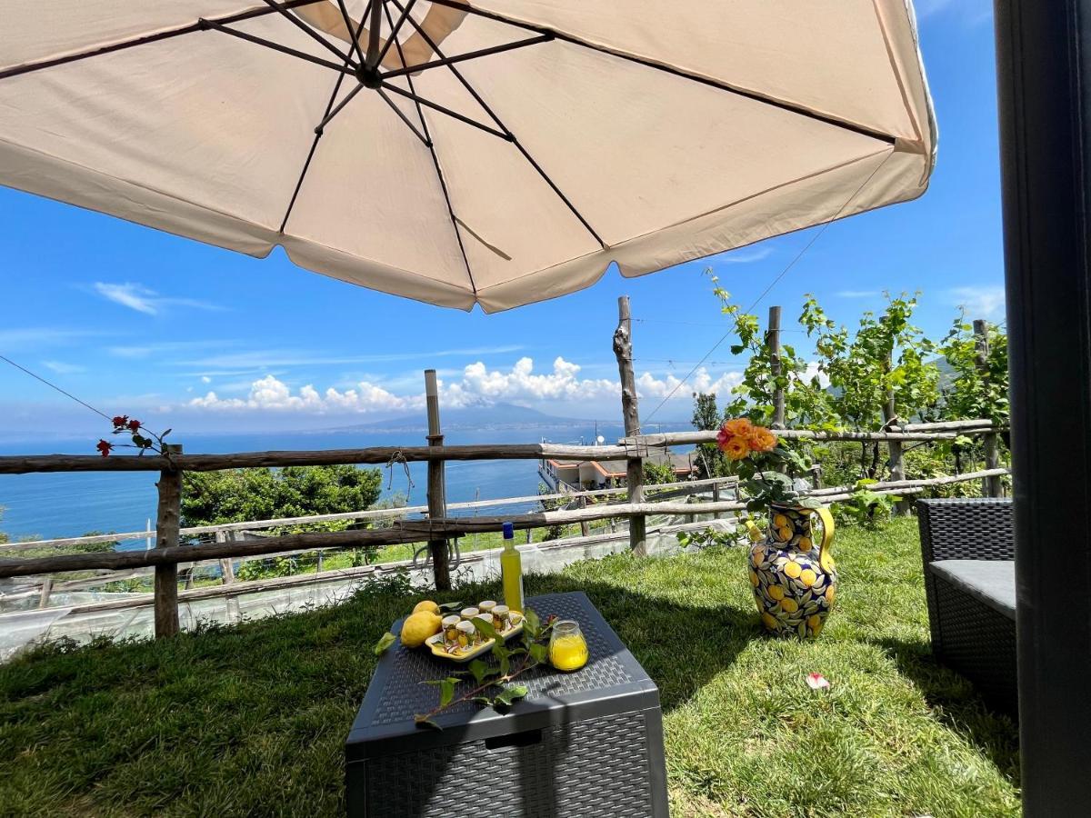 La Badia Montechiaro - Breathtaking View Of Sorrento Coast Villa Vico Equense Buitenkant foto