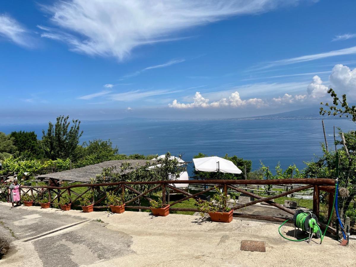 La Badia Montechiaro - Breathtaking View Of Sorrento Coast Villa Vico Equense Buitenkant foto