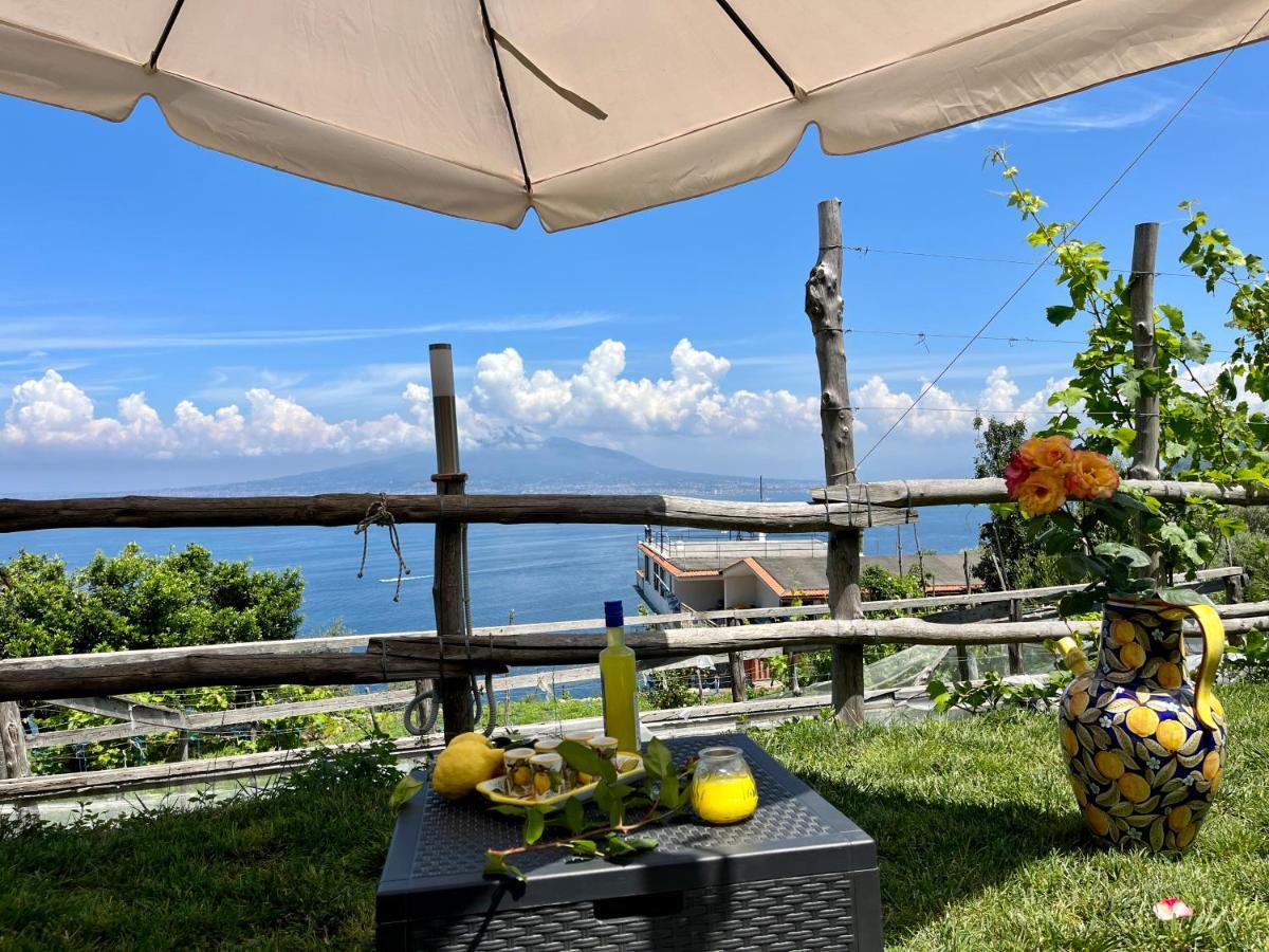La Badia Montechiaro - Breathtaking View Of Sorrento Coast Villa Vico Equense Buitenkant foto
